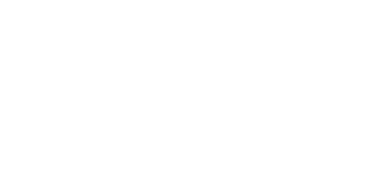 Scalp Micro Guru